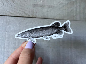 Northern Pike Pen and Ink Vinyl Sticker