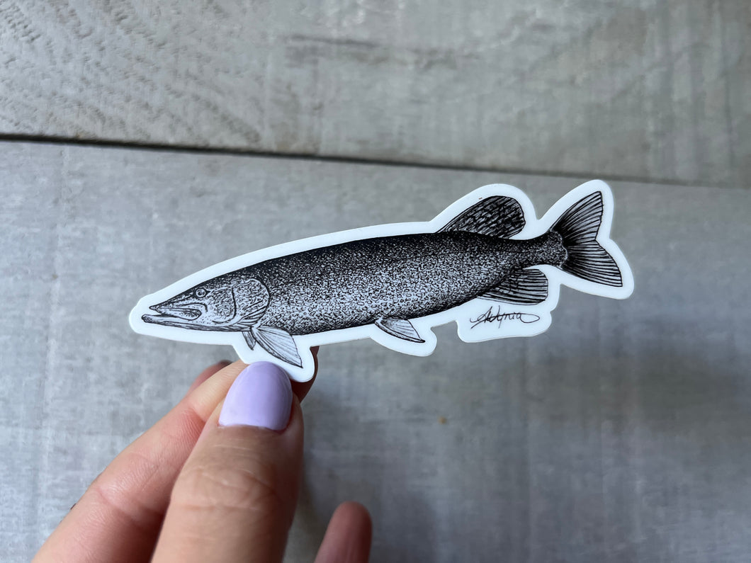Northern Pike Pen and Ink Vinyl Sticker