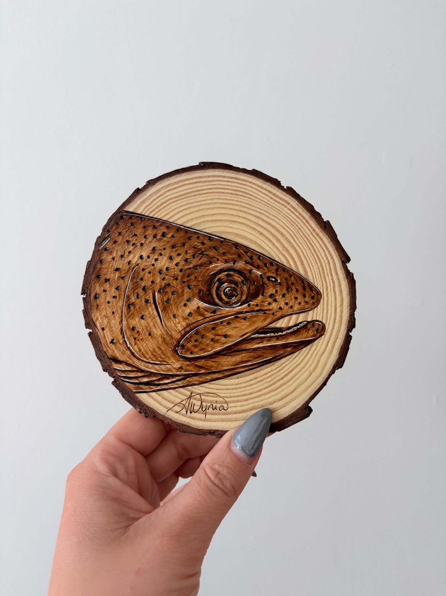 Rainbow Trout Study - May 26, 2026