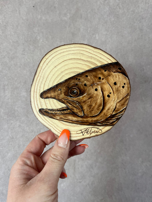 Atlantic Salmon Mini Burn