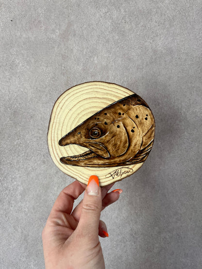 Atlantic Salmon Mini Burn