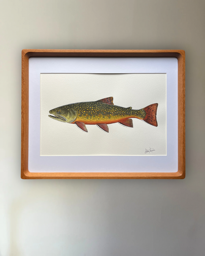 Brook Trout - Original Watercolour Painting