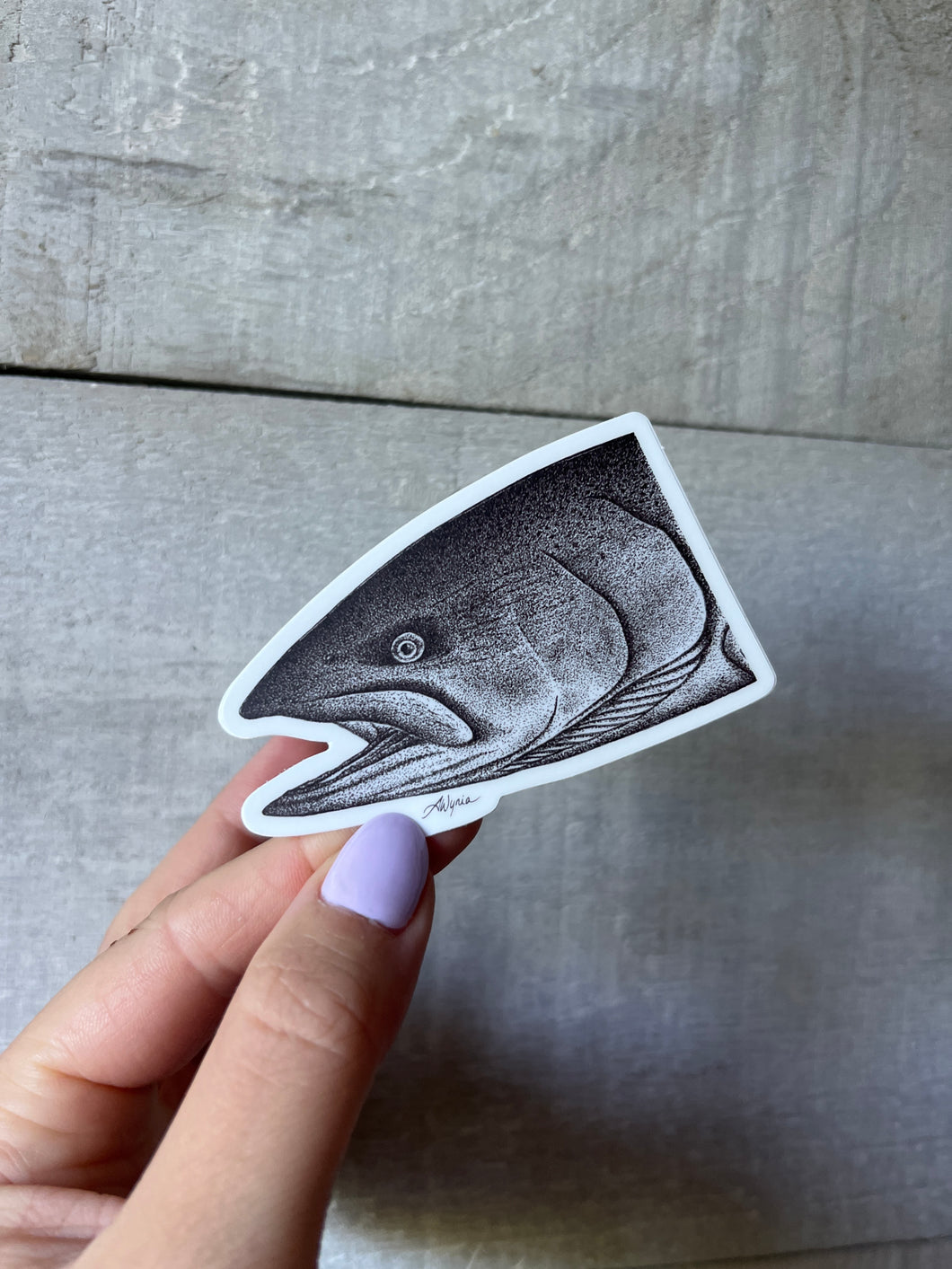 Chinook Salmon Pen and Ink Vinyl Sticker