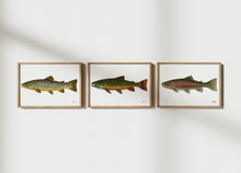 Load image into Gallery viewer, Rainbow Trout Print
