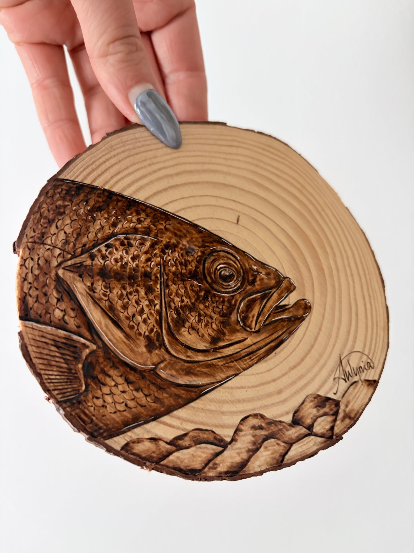 Smallmouth Bass Study - May 28, 2026
