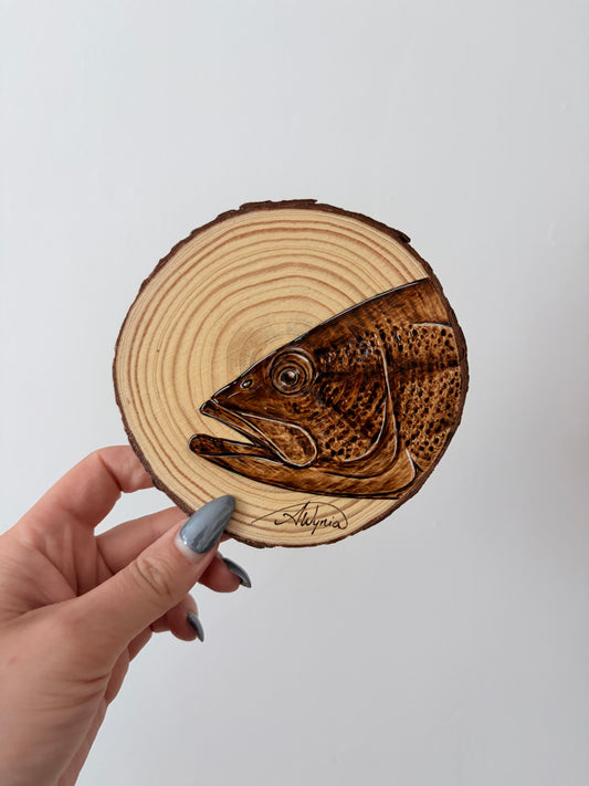 Largemouth Bass Study - May 27, 2026