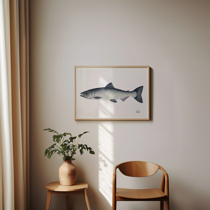 Chinook (King) Salmon Print