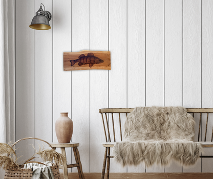 Yellow Perch Portrait on Applewood