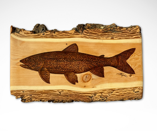 Lake Trout on Douglas Fir