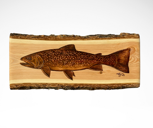 Brook Trout on Douglas Fir