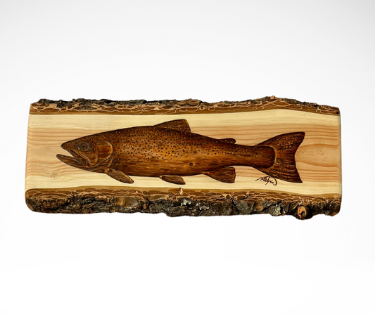 Rainbow Trout on Douglas Fir