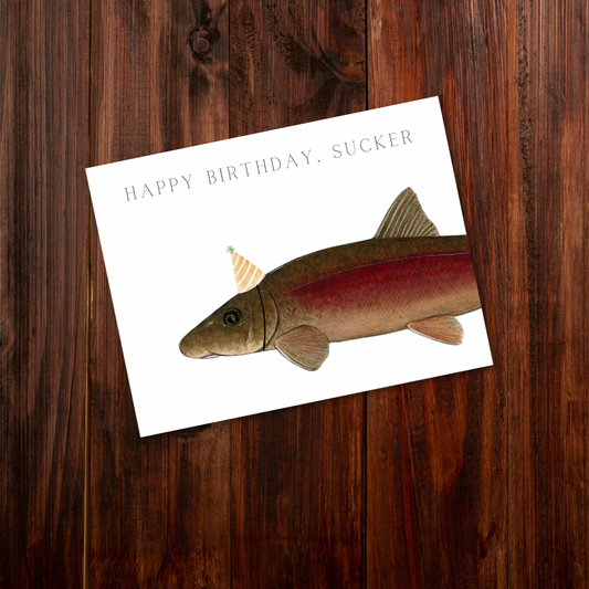 Happy Birthday, Sucker - Birthday Card