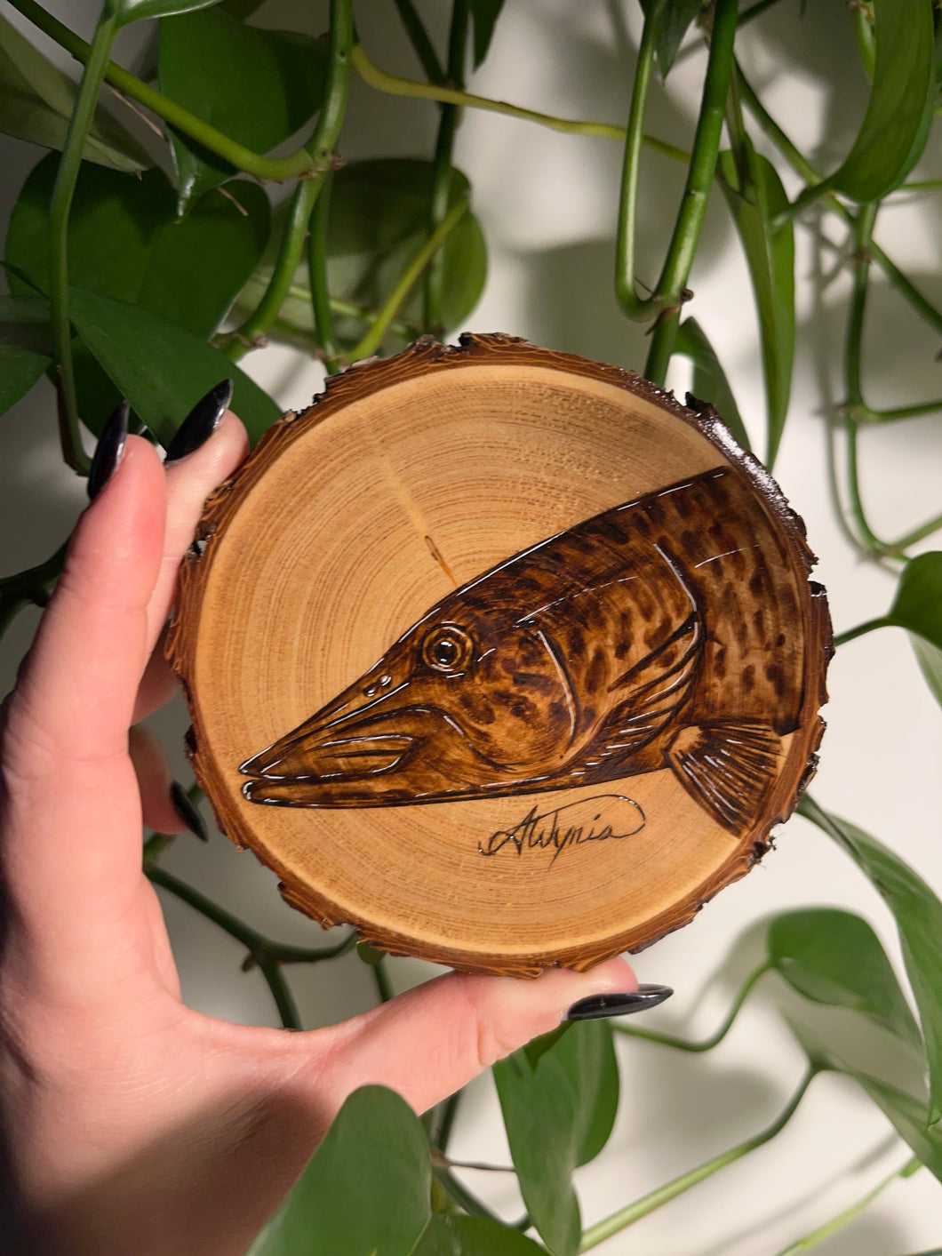 Muskie Mini