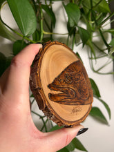 Load image into Gallery viewer, Walleye Mini
