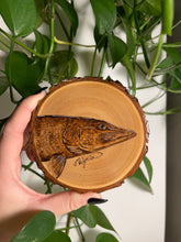 Load image into Gallery viewer, Northern Pike Mini
