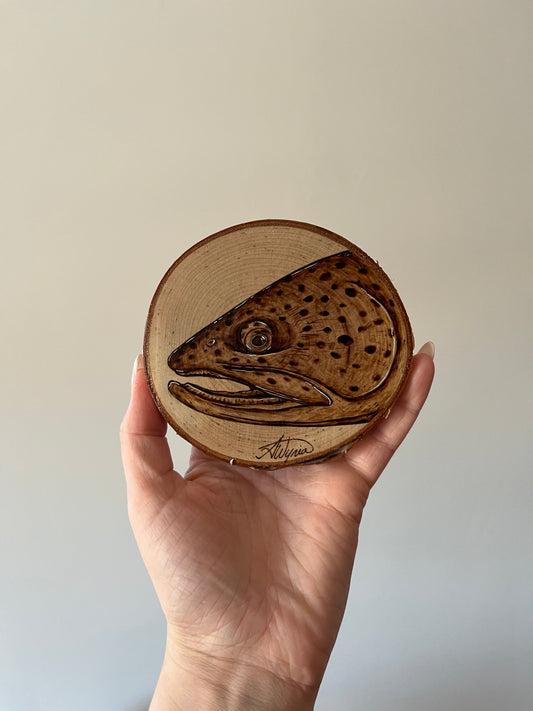 Brown Trout Mini Burn