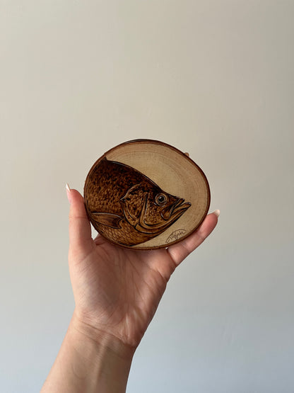 Black Crappie Mini Burn