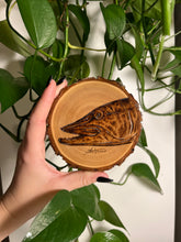 Load image into Gallery viewer, Muskie Mini
