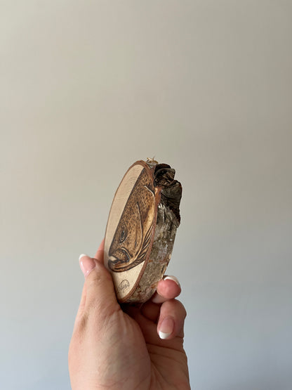 Rainbow Trout Mini Burn