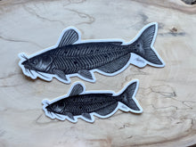 Load image into Gallery viewer, Channel Catfish Vinyl Sticker
