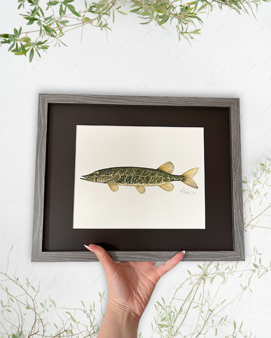 Grass Pickerel - Original Watercolour Painting