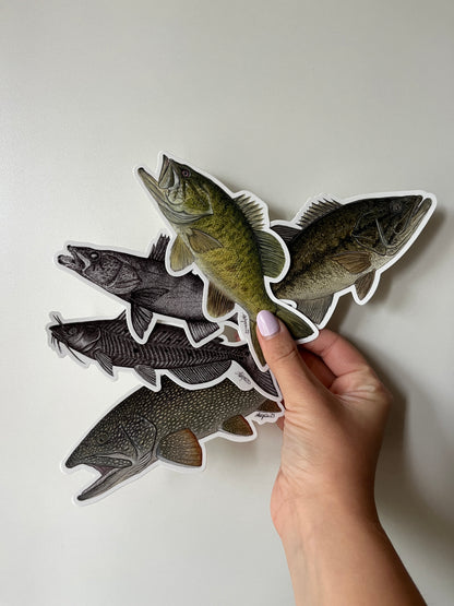 “Casting Call” Smallmouth Bass Vinyl Sticker
