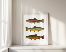 Load image into Gallery viewer, Open Season Triple Trout Print
