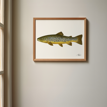 Load image into Gallery viewer, Brown Trout Print
