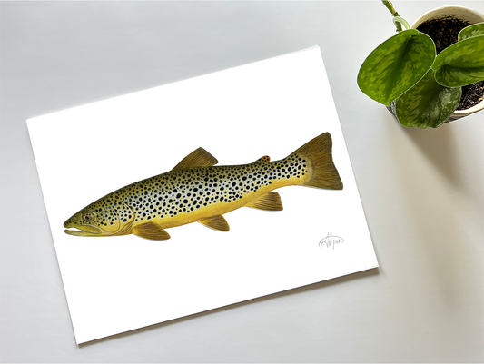 Brown Trout Print