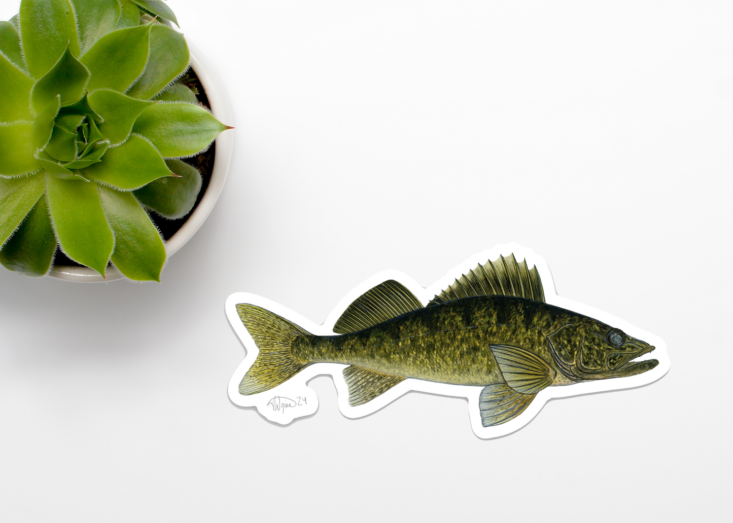 Walleye Watercolour Vinyl Sticker