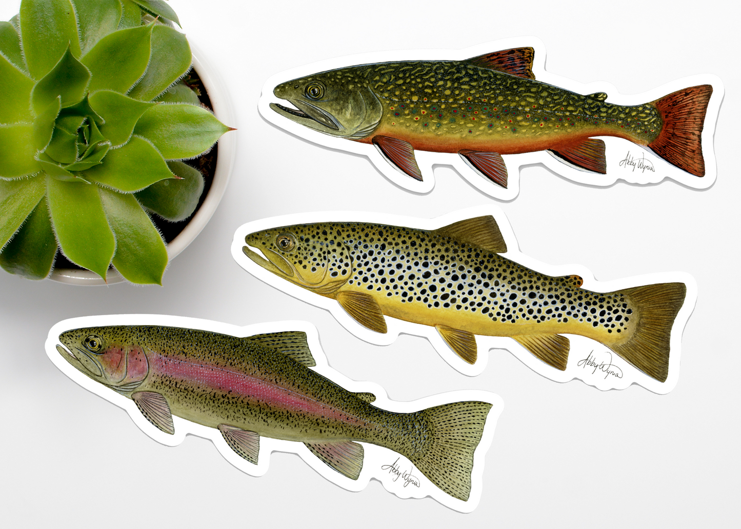 Brook Trout Vinyl Sticker