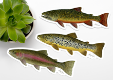 Load image into Gallery viewer, Rainbow Trout Vinyl Sticker
