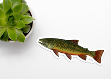 Load image into Gallery viewer, Brook Trout Vinyl Sticker
