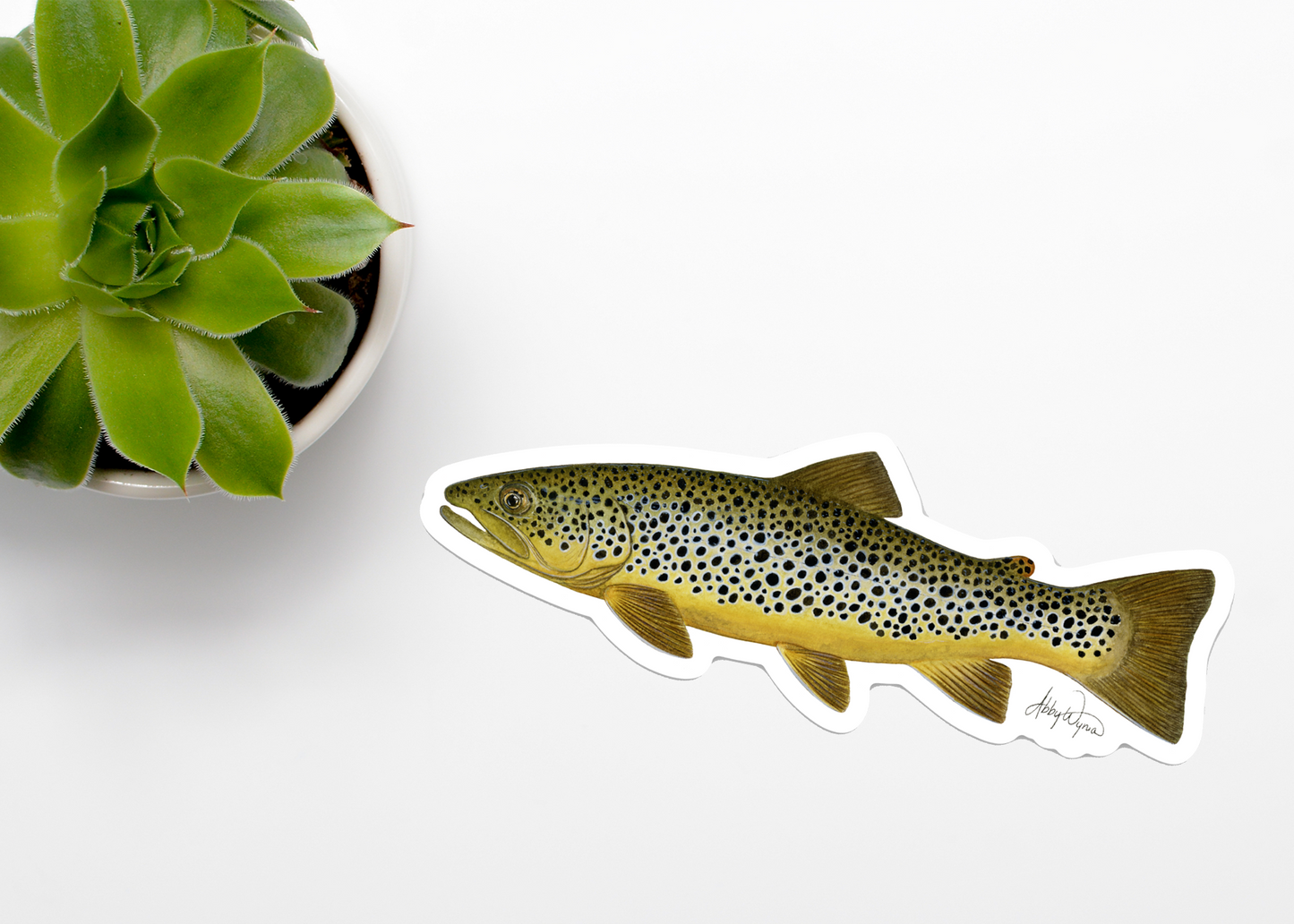 Brown Trout Vinyl Sticker