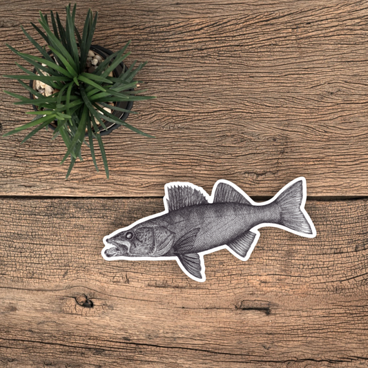 Walleye Vinyl Sticker