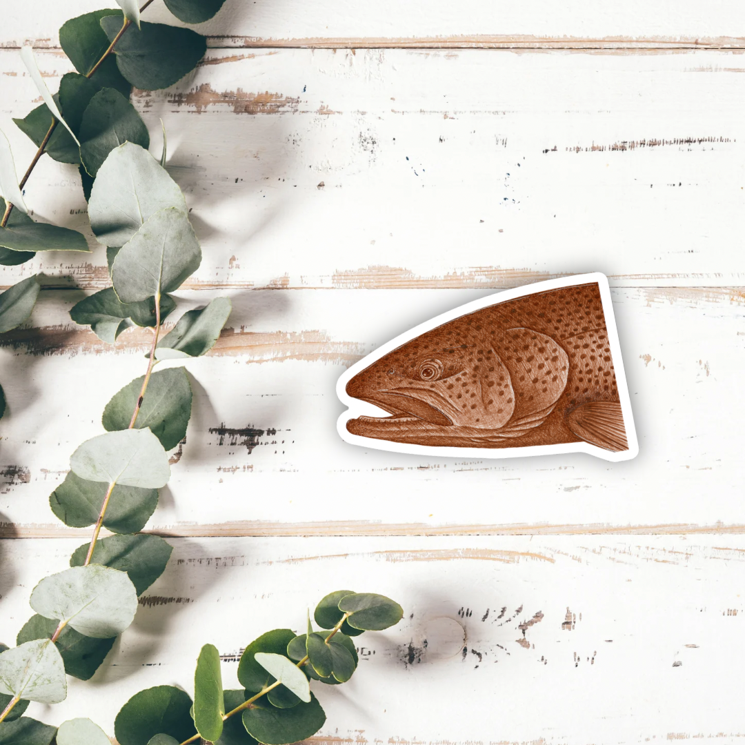 Sepia Brown Trout Vinyl Sticker