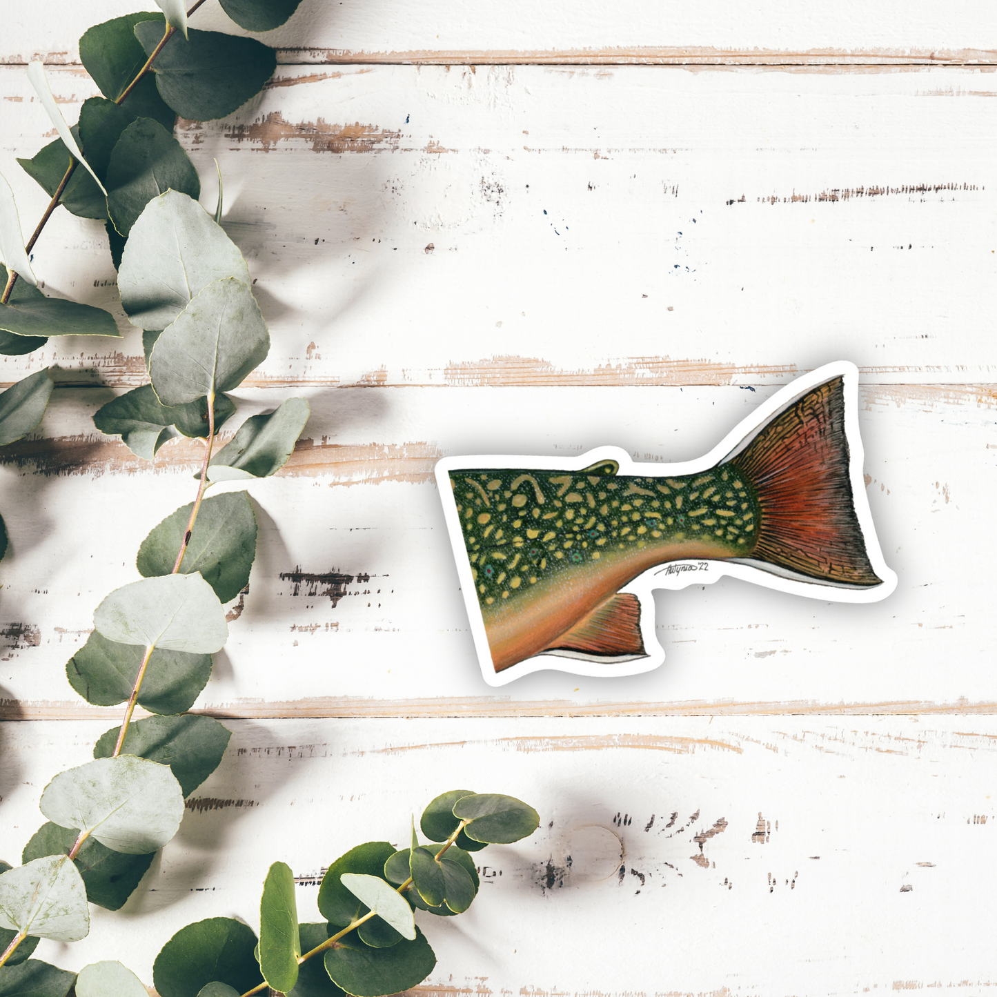 Brook Trout “Adipose” Vinyl Sticker