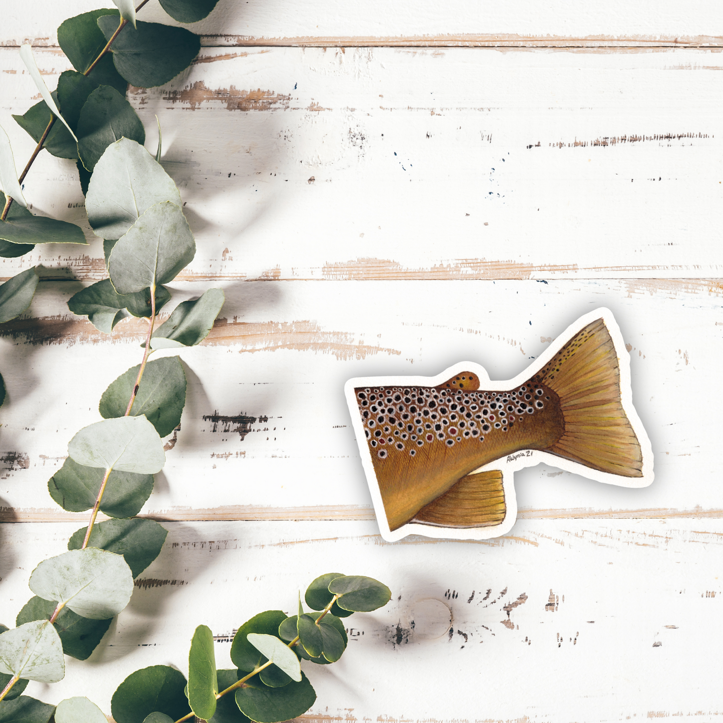 Brown Trout "Adipose" Vinyl Sticker