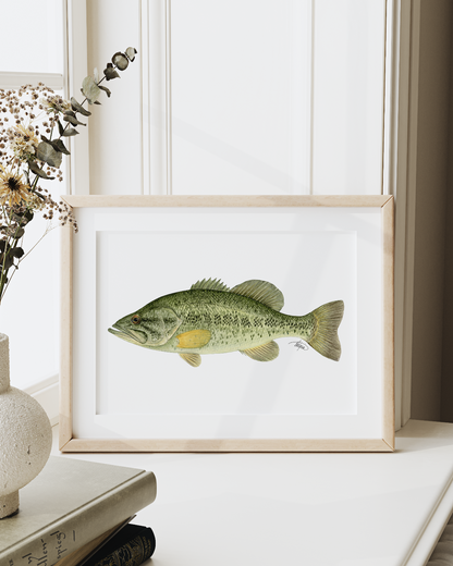 Largemouth Bass Print