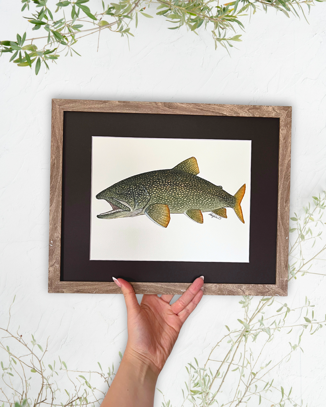 Lake Trout - Original Watercolour Painting