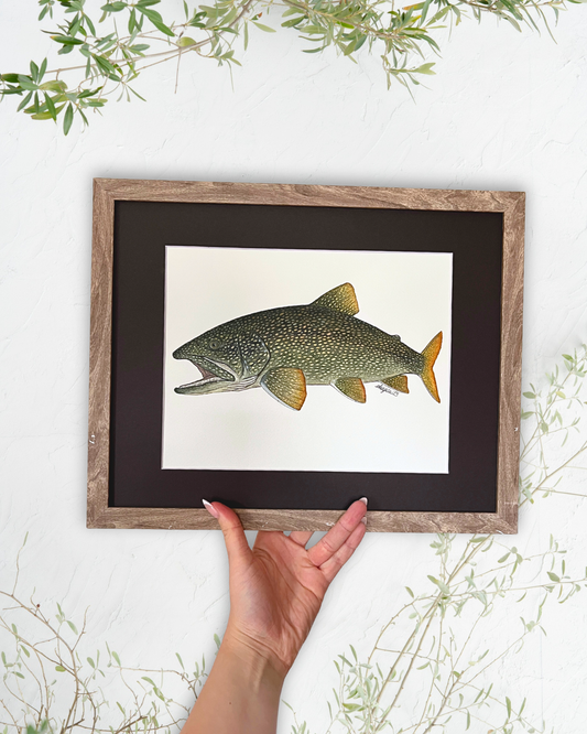 Lake Trout - Original Watercolour Painting