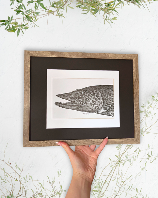 Muskellunge - Original Ink Illustration