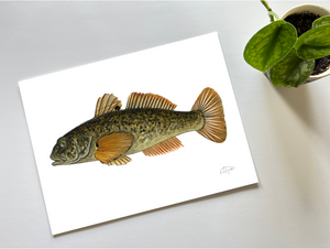 Round Goby Print - Art for a Cause
