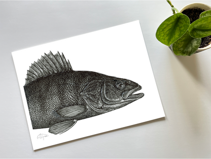 Yellow Perch Ink Print