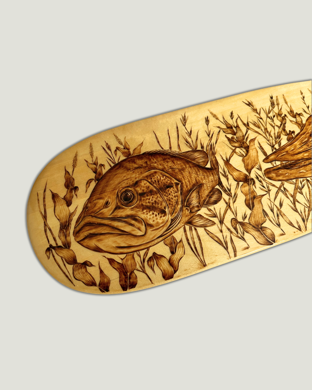 Northern Chase Paddle - Aspen 57"