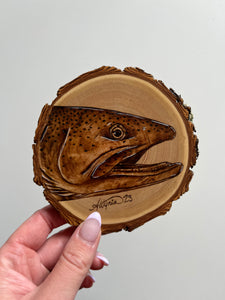 Steelhead Mini