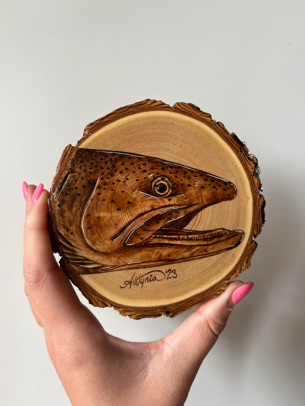 Steelhead Mini