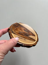 Load image into Gallery viewer, Steelhead Mini
