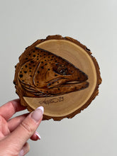 Load image into Gallery viewer, Brown Trout Mini
