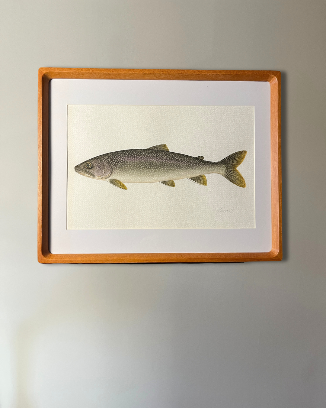 Lake Trout - Original Watercolour Painting